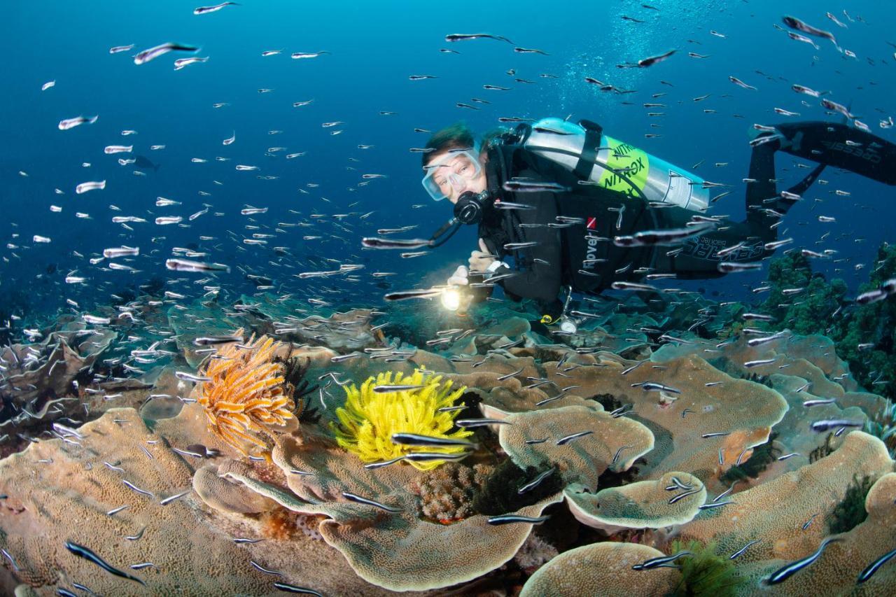 Metita Beach & Dive Resort Daruba Экстерьер фото