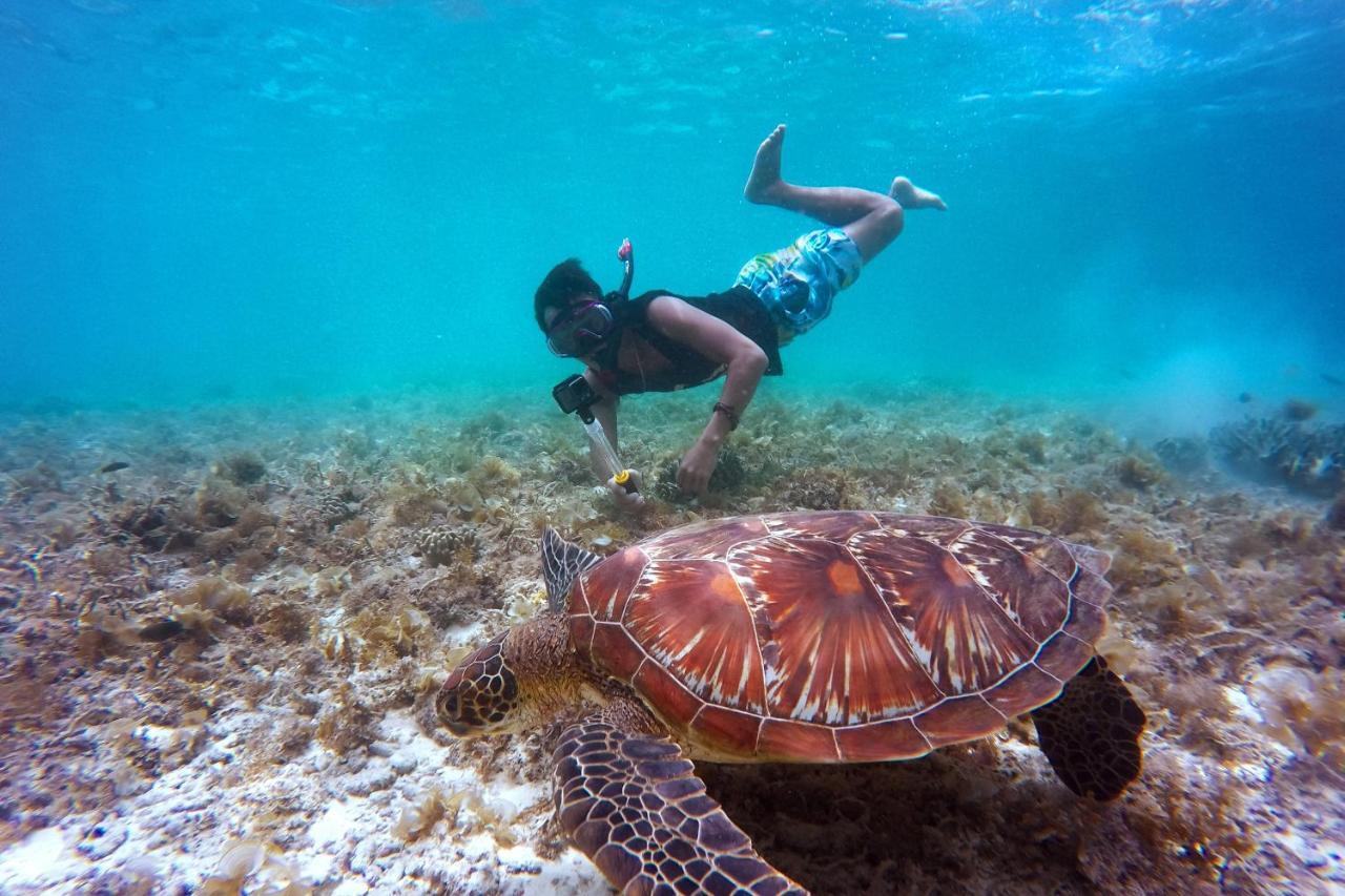 Metita Beach & Dive Resort Daruba Экстерьер фото